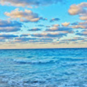 Meet your Posher, Lin